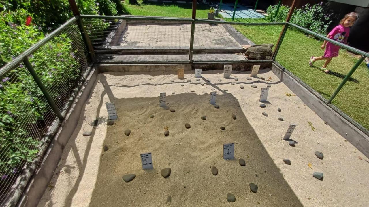 The Beach Bungalows & Turtle Sanctuary 페무테란 외부 사진