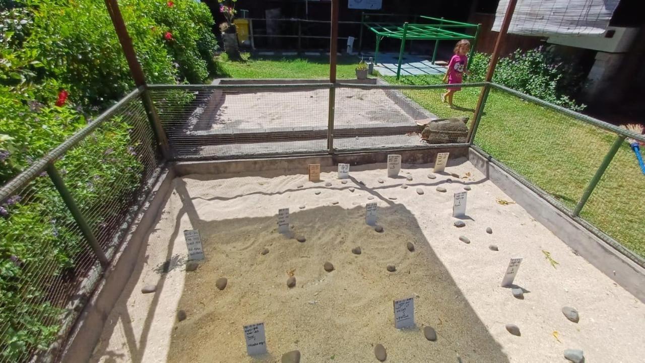 The Beach Bungalows & Turtle Sanctuary 페무테란 외부 사진