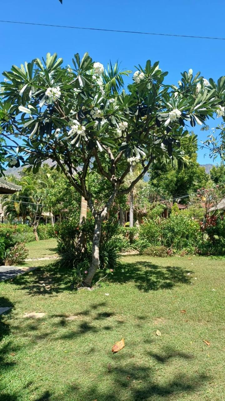 The Beach Bungalows & Turtle Sanctuary 페무테란 외부 사진